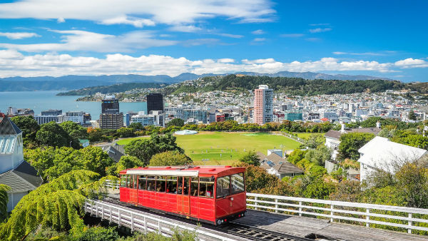 நியூசிலாந்து உதவி 