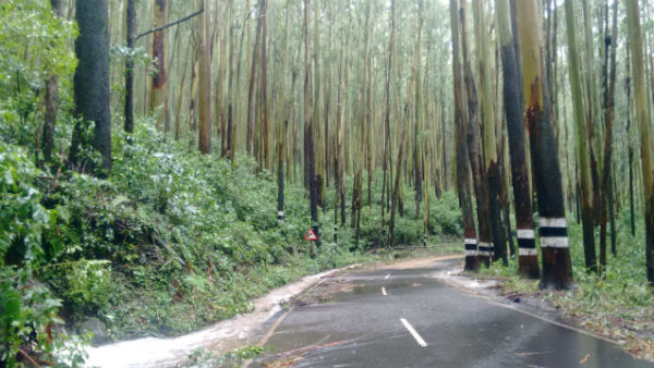  ஒருவர் பலி