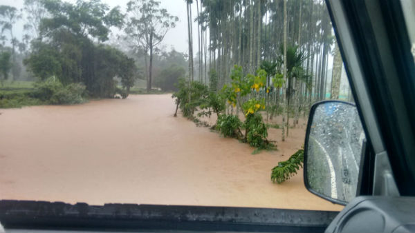  பலத்த காற்று