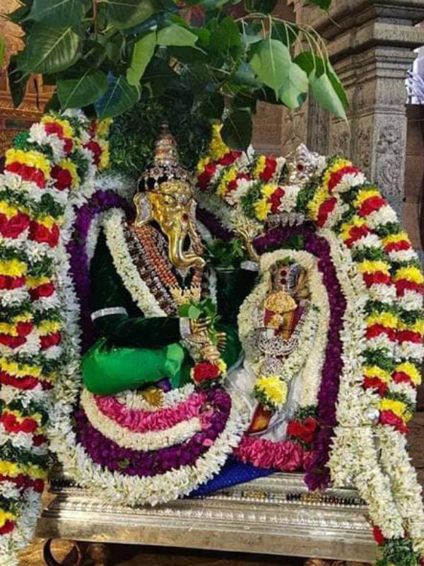  Pillayarpatti Karphaga Vinayaka temple Vinayagar Chathurthi festival Soorasamharam 