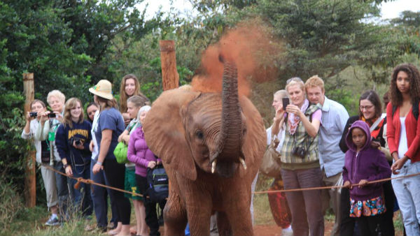 கடினமான பணி 