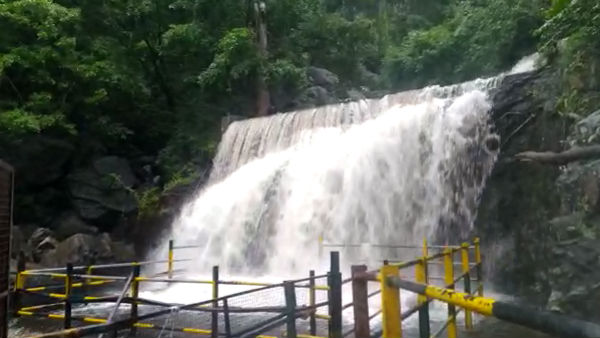 காணும் இடமெங்கும் வெள்ளம் 