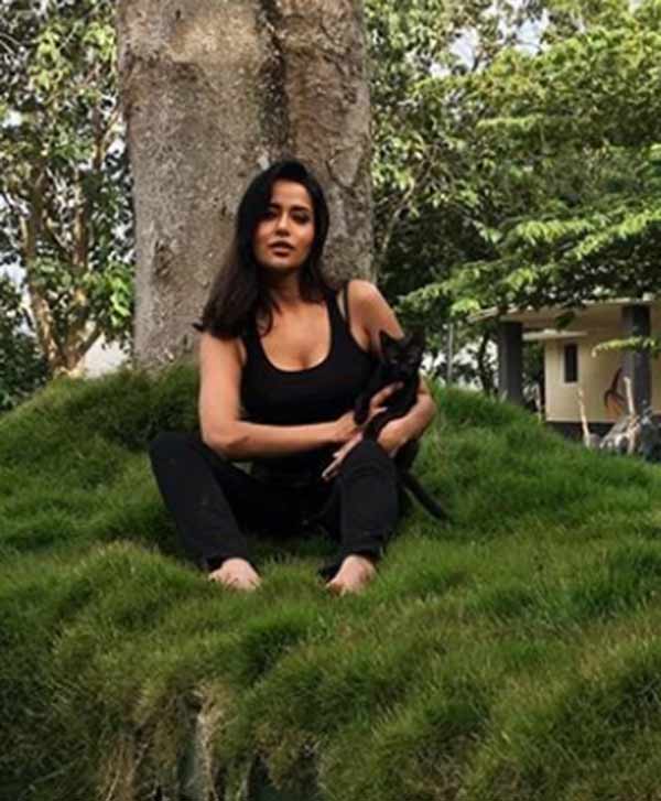 கருப்பு பூனை