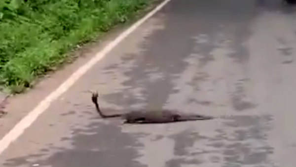 முக்கியம் 