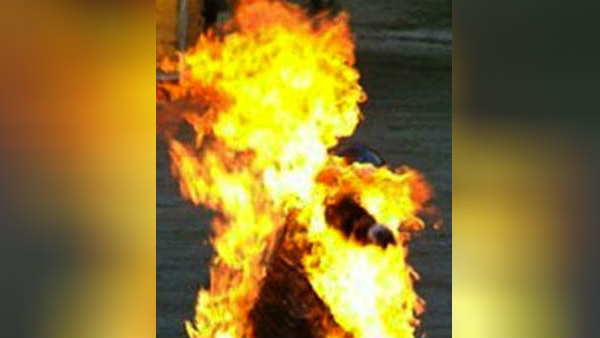 ஆய்வாளர் 