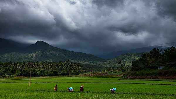 இயற்கை எழில் 