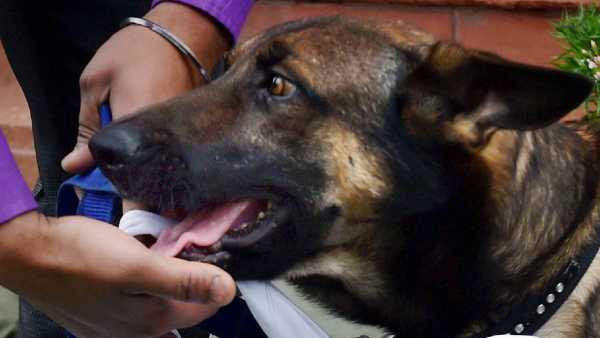 ரேபிட் டெஸ்ட் 