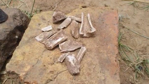 தொல்லியல் துறை ஆய்வு தொல்லியல் துறை ஆய்வு