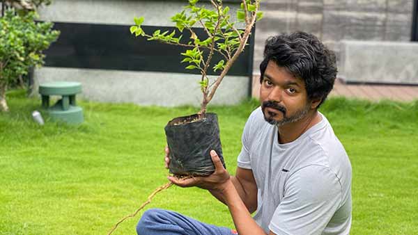 மேஜிக் 
