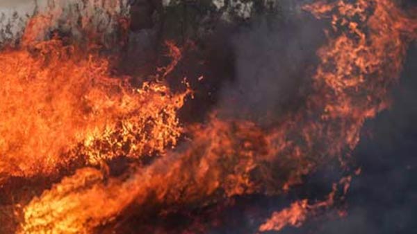 சோம்பி தீ சோம்பி தீ