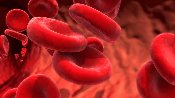 ரத்தம் உறைதல் 