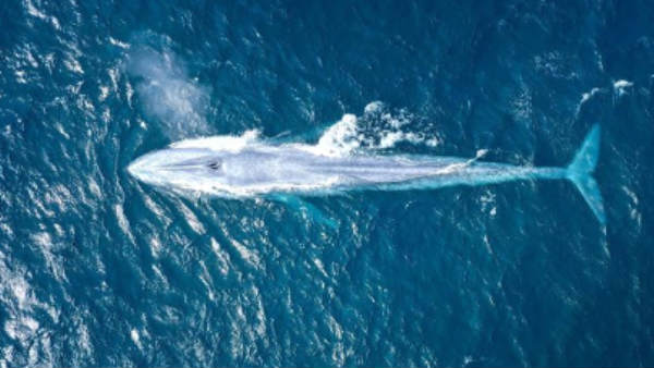 சிட்னி போட்டோகிராபர்