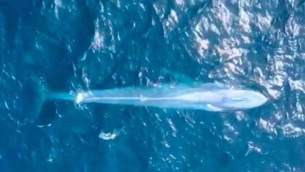 3வது முறை