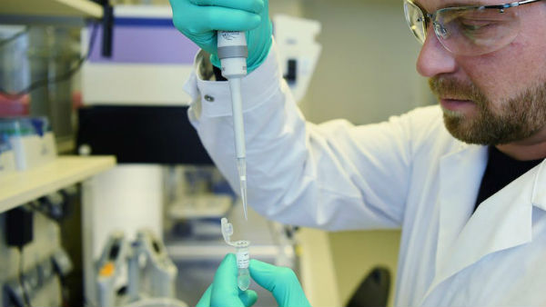 முந்தைய ஆய்வுகள் 