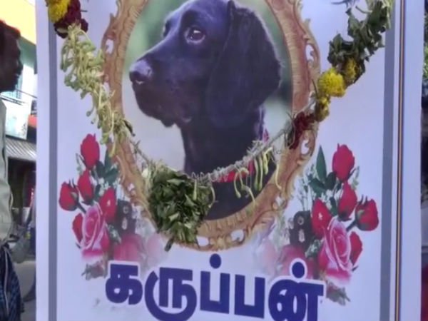 சாலை விபத்தில் பலி 