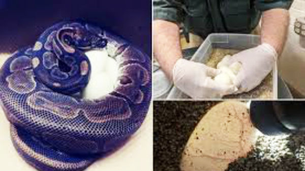 தொடர்ந்து ஆய்வு