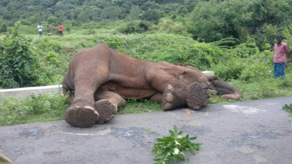 உயிர் வாழ முடியாது 