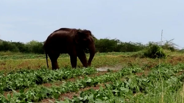 7 வீடுகள் சேதம் 