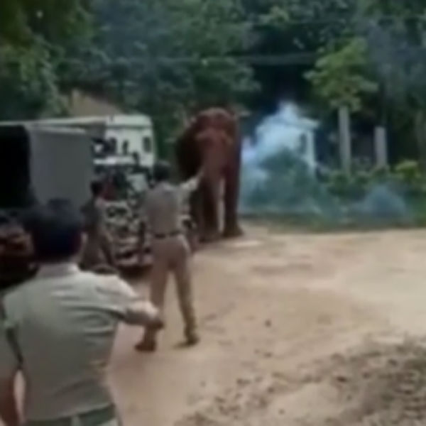 உயிரிழக்க வாய்ப்பு 