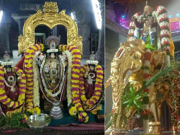 Purattasi Brahmorsavam at Prasanna Venkatajalapathy Temple - Devotees darshan 