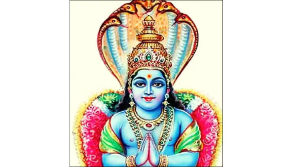 Rahu Ketu Peyarchi 2020: Rahu and Ketu Biodata 