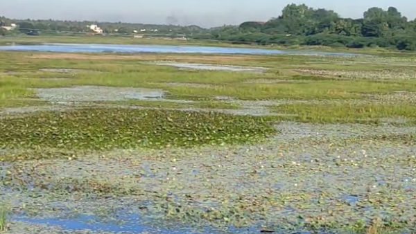 மருத்துவக் கல்லூரி 