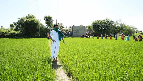 நெல் கொள்முதல் நெல் கொள்முதல்