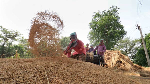 2வது சட்டம் என்ன பிரச்சனை 