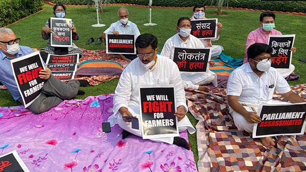 Suspended Rajya Sabha MPs on indefinite dharna in Parliament premise Suspended Rajya Sabha MPs on indefinite dharna in Parliament premise