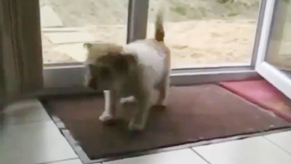 நோய் நொடி நோய் நொடி