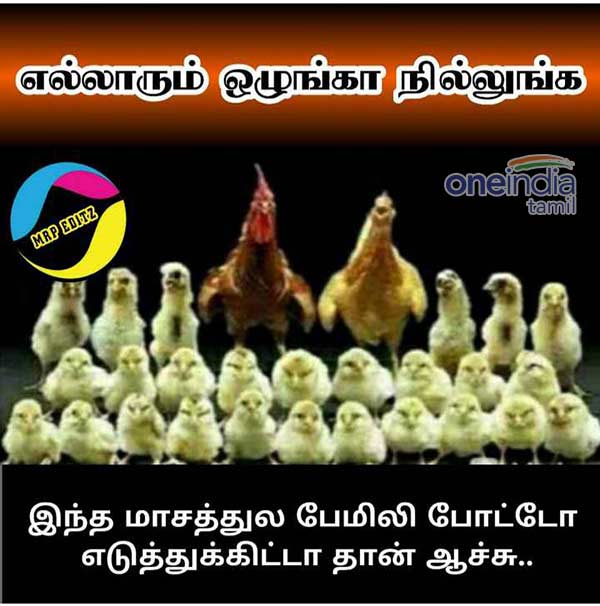 Viral Memes Collection on Puratasi month