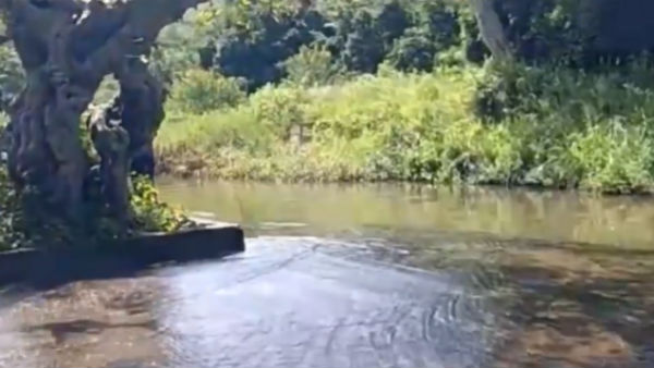 Farmers urge to Restore Water Channel for Kodaganar River 