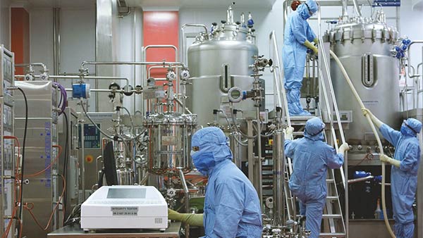 புனே ஆய்வு 