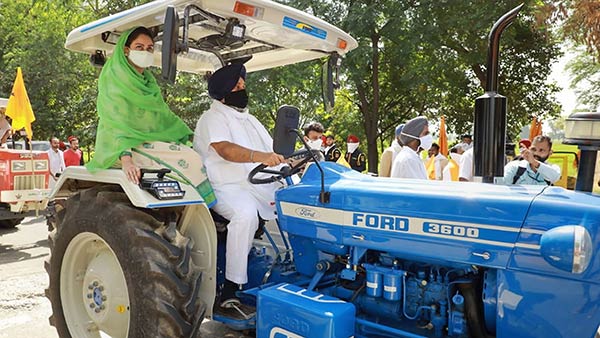 நாடாளுமன்றம் 