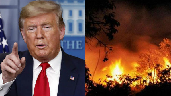 Donald Trumps new theory that US Wildfires Started Because of trees Explode Donald Trumps new theory that US Wildfires Started Because of trees Explode