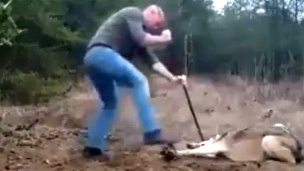 காப்பாற்றிய சம்பவம் 