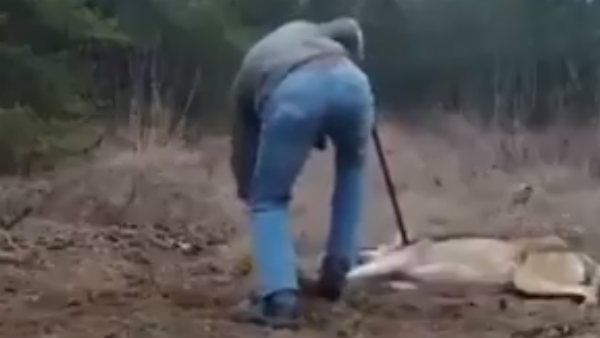 வீடியோ பதிவு 