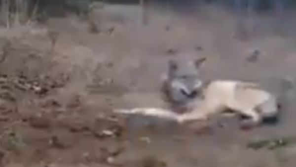 குவியும் பாராட்டுகள் 