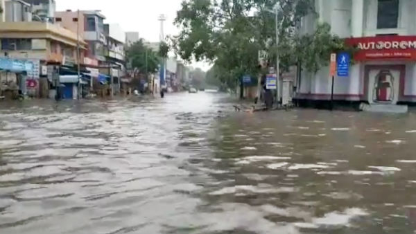 மாநகராட்சி ஊழியர்கள் உழைப்பு மாநகராட்சி ஊழியர்கள் உழைப்பு