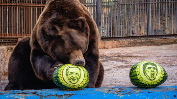 தர்ப்பூசணி பழங்கள் 