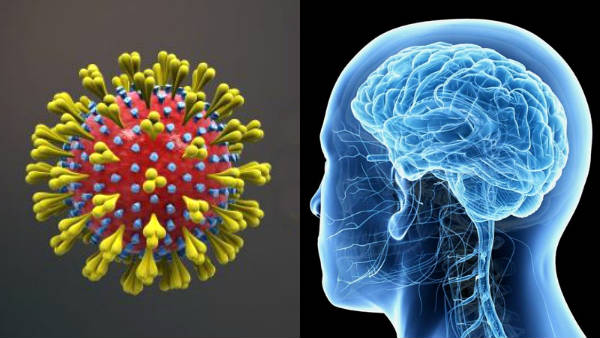 Covid 19: news survey finds 4 In 5 Covid Patients having Neurologic Symptoms Covid 19: news survey finds 4 In 5 Covid Patients having Neurologic Symptoms