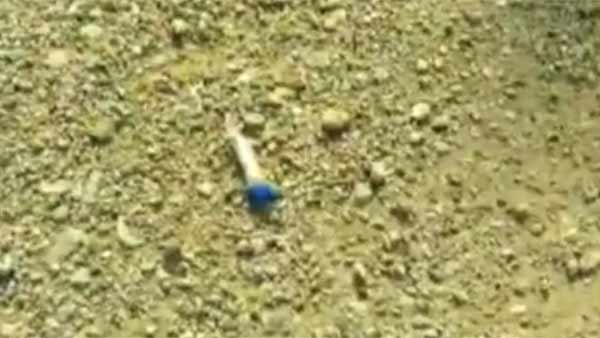 சாலையோரம் கொரோனா சாம்பிள் 