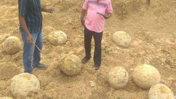 ஆய்வுகள் ஆய்வுகள்