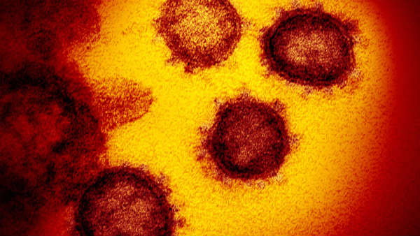 காக்காவிட்டால் ஆபத்து 