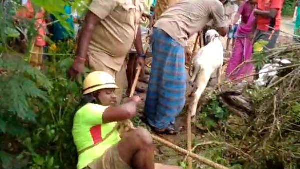 Lamb Slipping into the deep well and rescued near Sathiyamangalam, video 