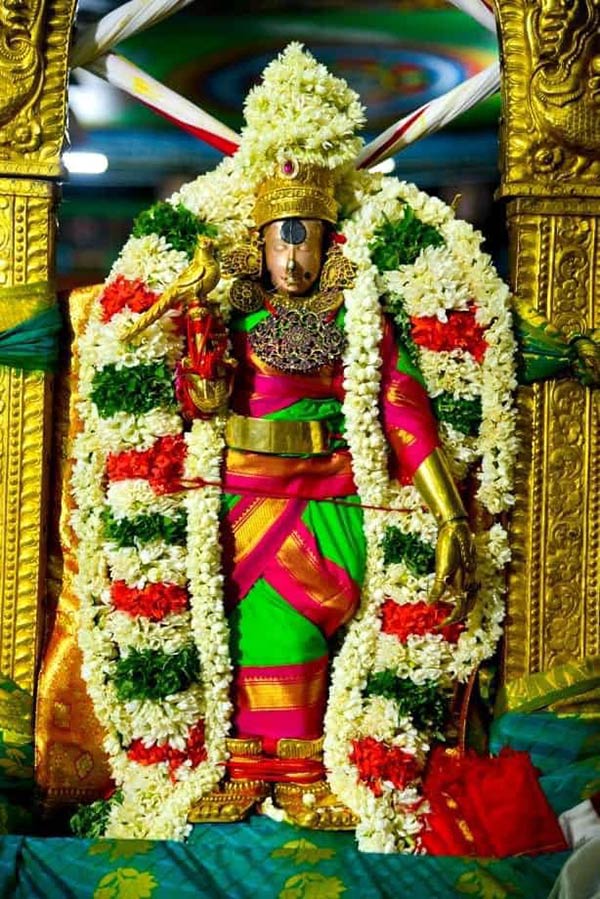 Navratri 2020 : Meenakshi Amman Temple Navratri Festival Kolumanpa Dharisanam Navratri 2020 : Meenakshi Amman Temple Navratri Festival Kolumanpa Dharisanam