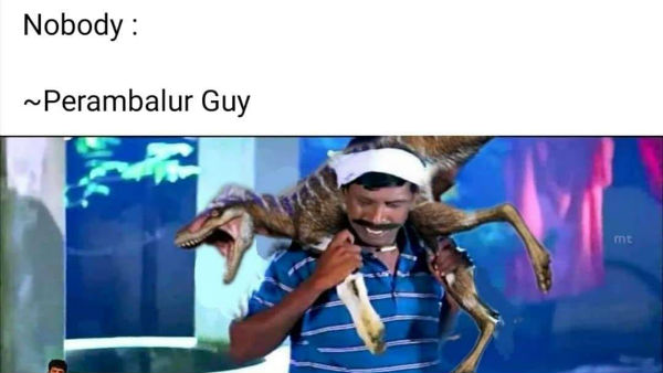  எங்களுக்கு ஆட்டுக்குட்டி மாதிரி