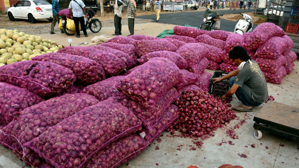 எகிப்து வெங்காயம் வருகை 