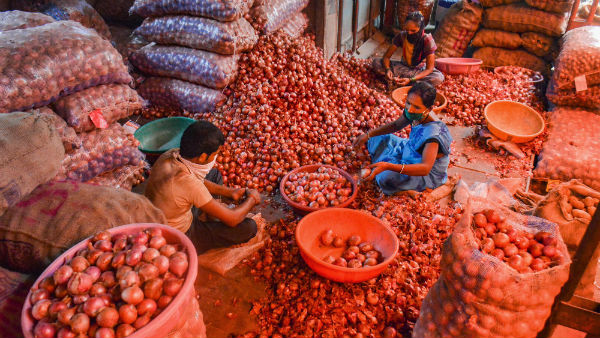 வெங்காய விளைச்சல் 