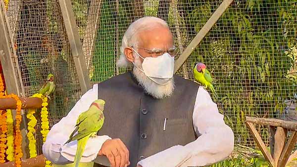 PM Narendra Modi plays with parrots in Gujarat PM Narendra Modi plays with parrots in Gujarat